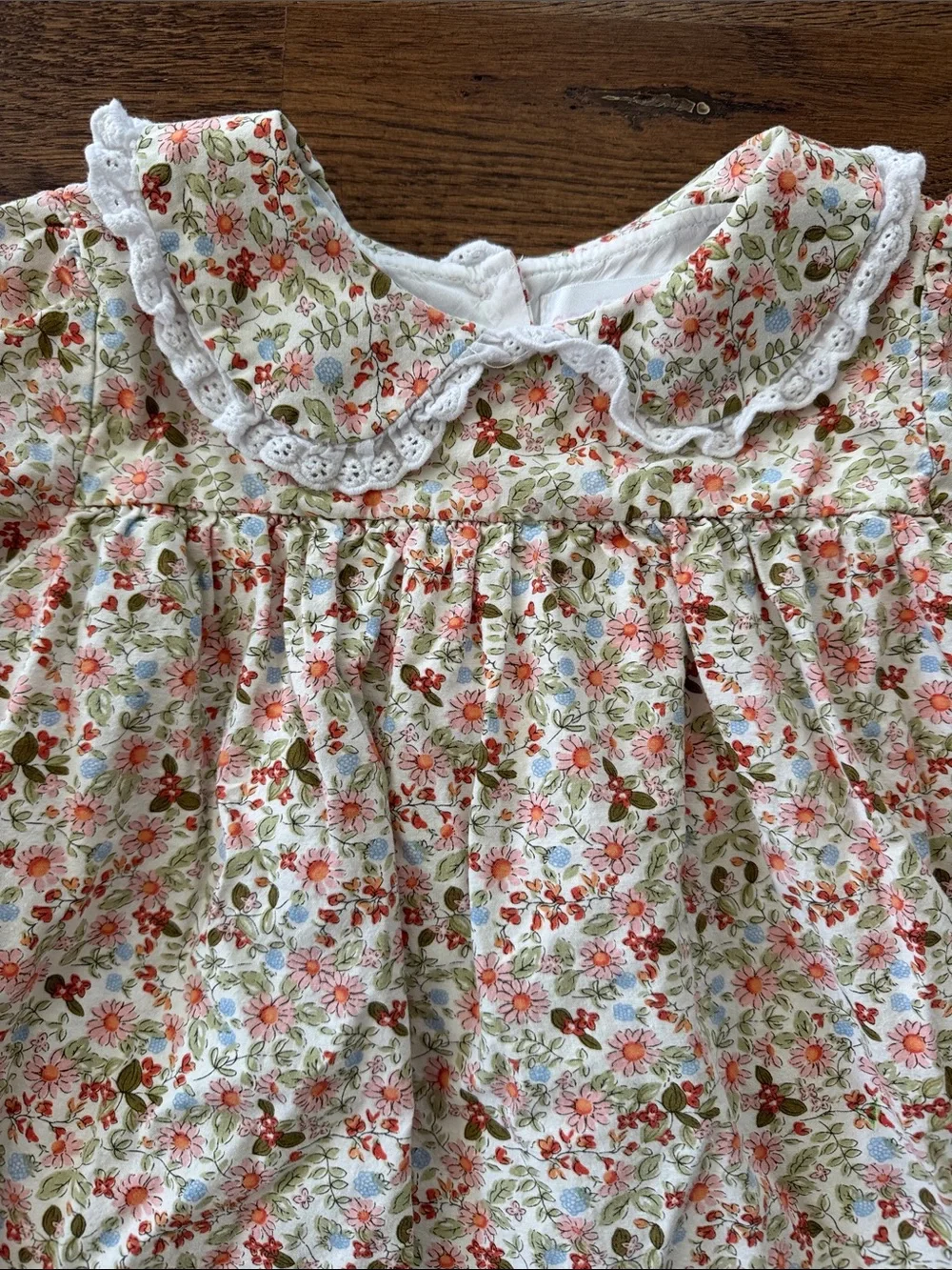 Cecil And Lou Floral Lace Collar Dress